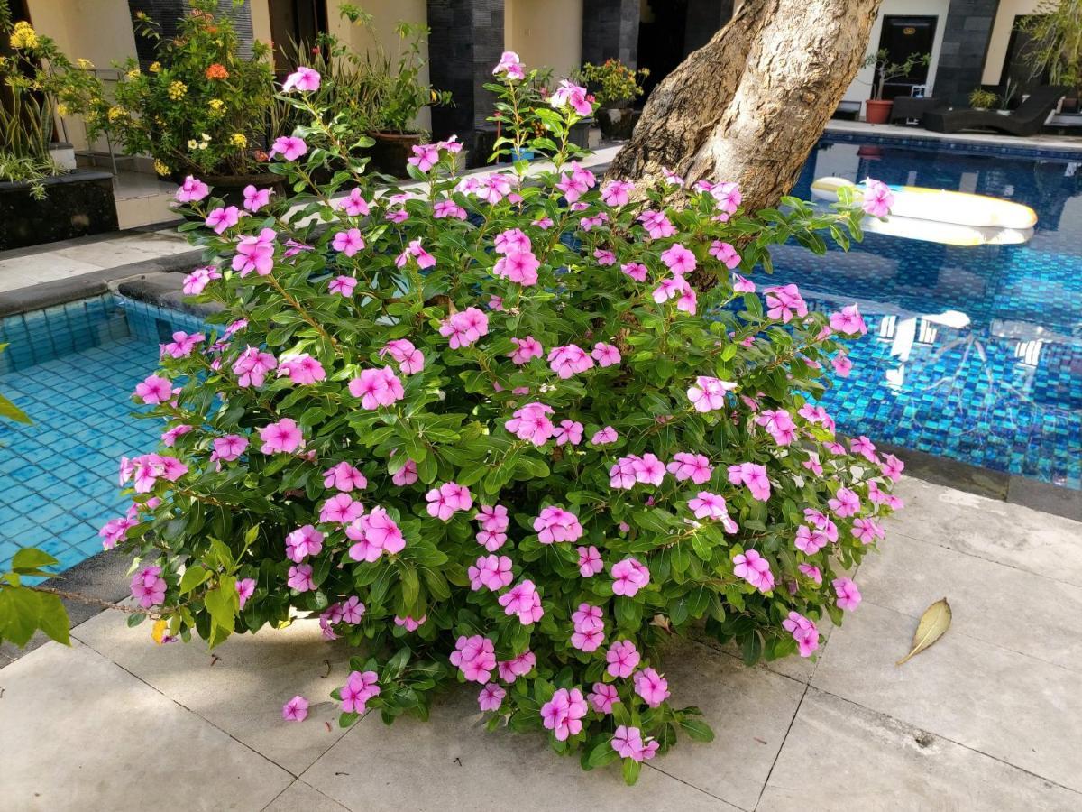 Radha Bali Hotel Kuta Lombok Eksteriør bilde