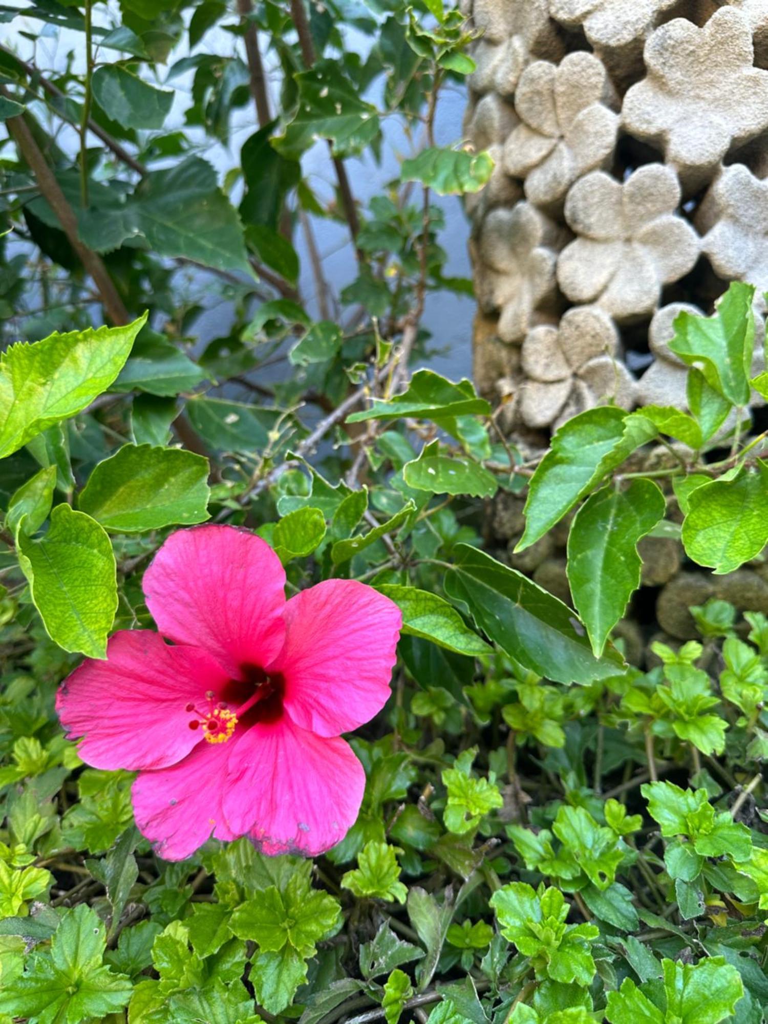 Radha Bali Hotel Kuta Lombok Eksteriør bilde